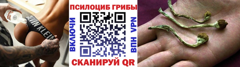 Псилоцибиновые грибы Magic Shrooms продажа наркотиков Выкса