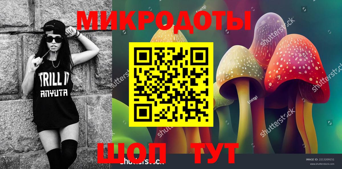 Выкса  Галлюциногенные грибы Cubensis  Вход с VPN 