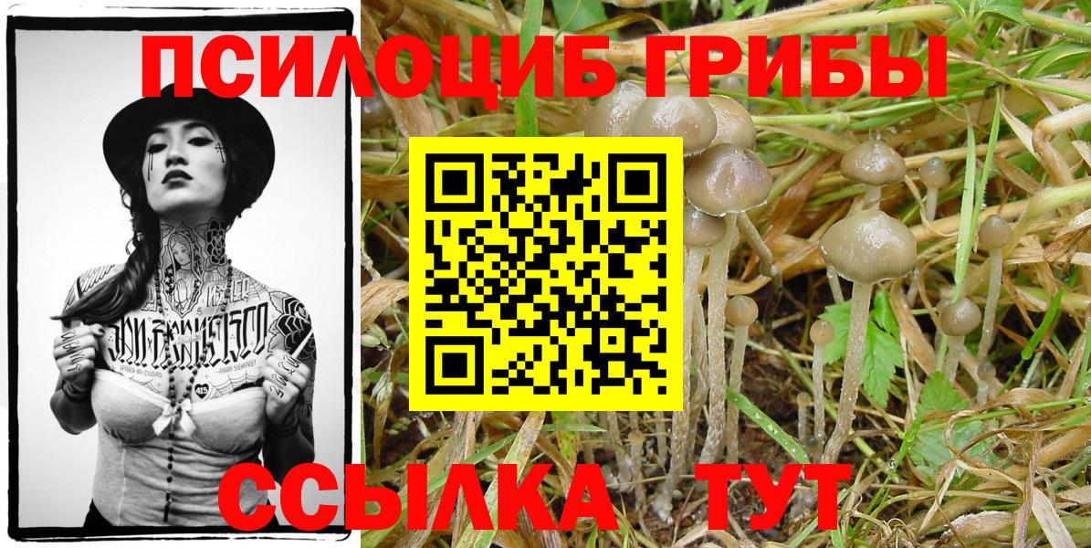 Конопля  Выкса  Кокаин  ГАШИШ  НБОМе  Вход с VPN  Канабис  Меф МЯУ МЯУ кристаллы  Экстази 