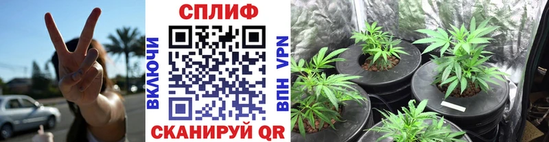 Марихуана OG Kush  Выкса 